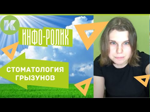 Видео: Стоматология грызунов, Основные болезни ротовой полости крыс и кроликов