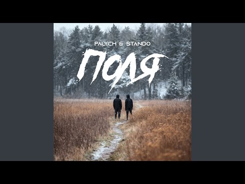 Видео: Поля