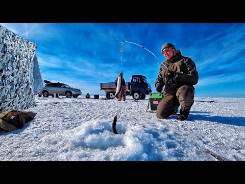 Видео: РЫБАЛКА НА ГЛУБИННОГО ОМУЛЯ! КРУПНЯК СНОВА РАДУЕТ!