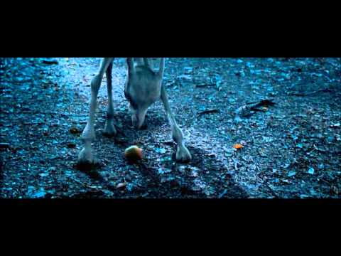 Видео: Гарри Поттер и Музыкальная Нарезка