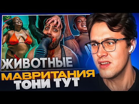 Видео: МАФАНЯ СМОТРИТ - Мавритания - Королевство Рабов😱