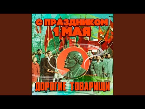 Видео: Берёзы