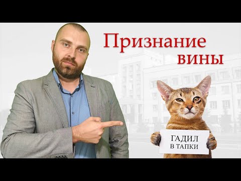 Видео: Стоит ли признавать вину в уголовном деле?