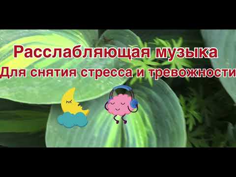 Видео: ✨Расслабляющая музыка|для снятия стресса|для хорошего сна✨