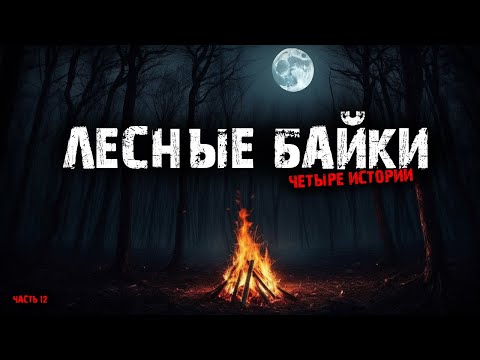 Видео: Лесные байки (6в1) Выпуск №12