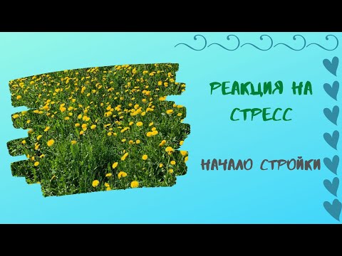 Видео: Плохие и Хорошие Новости