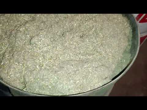 Видео: Перемолочую зерно.  Від якого зерна кролики  🐰 здуваються та гинуть.