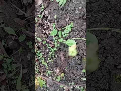 Видео: 30 октября 2025