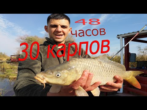 Видео: Рыбалка на Днестре 30 Карпов за 48 часов
