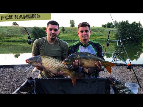 Видео: РСК "Камень" | Жаркая рыбалка | Карпфишинг в Курской области