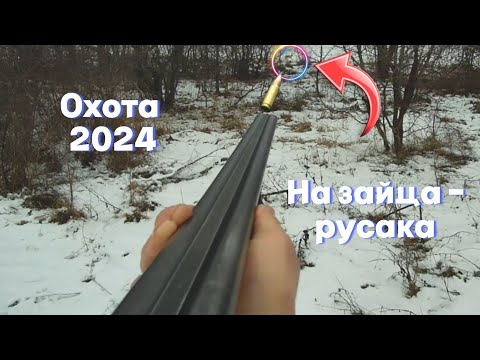 Видео: ВЗЯЛИ ПО ЗАЙЦУ. Охота с братом на зайца русака по мягкой погоде.