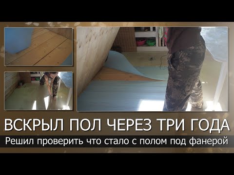Видео: Вскрыл деревянный пол через три года//Что стало с полом под фанерой//Есть сырость или нет?