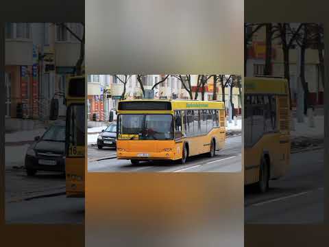 Видео: информатор 16 автобуса Витебск