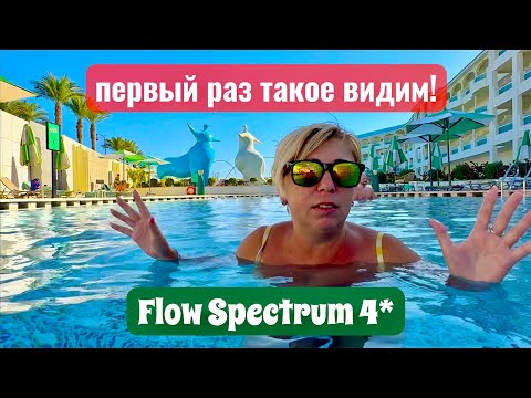 Видео: Мышь в номере! Flow Spectrum 4* Египет 2025. Хургада 2025. Отдых в Египте 2025.
