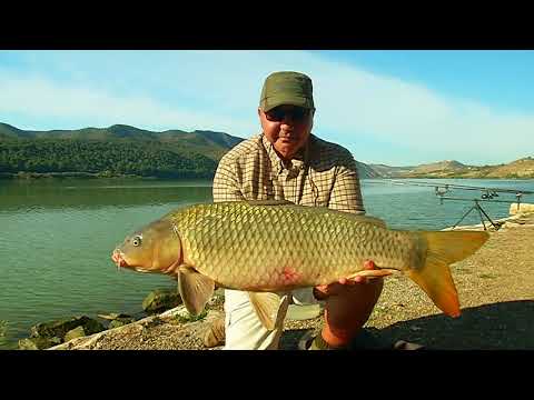 Видео: Карпфишинг в Испании \ Мировая рыбалка. Сезон 3.