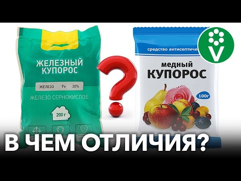 Видео: ВСЁ, ЧТО ВЫ ХОТЕЛИ ЗНАТЬ О ЖЕЛЕЗНОМ И МЕДНОМ КУПОРОСЕ - В ОДНОМ ВИДЕО!