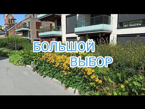 Видео: Большой выбор🛍️ Не у ВСЕХ с 🥕Мне ужин понравился 😋👍