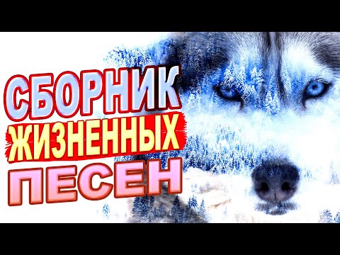 Видео: 💥Лучшие песни за ЖИЗНЬ! ПОСЛУШАЙТЕ