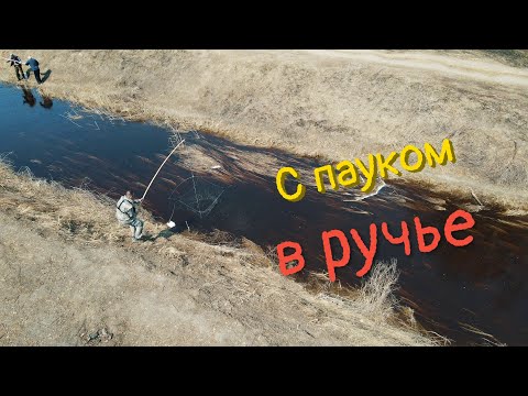 Видео: Рыбалка на паук-подъёмник в мелком ручье