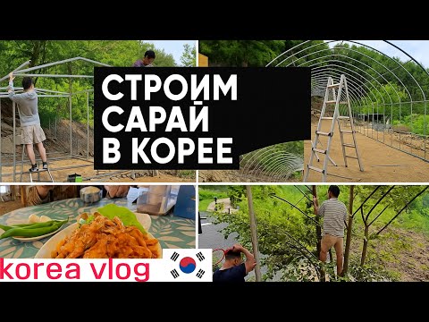 Видео: Корейские технологии и бездомные куры ^^ KOREA VLOG