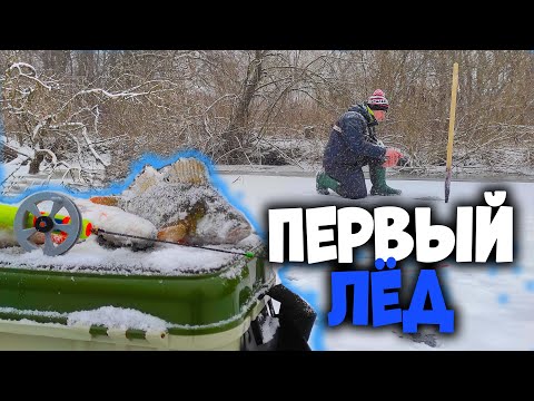 Видео: ЗИМНЯЯ РЫБАЛКА, ловля окуня на БАЛАНСИР и БЕЗМОТЫЛКА в кувшинках на заливах реки Псёл