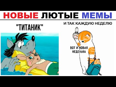 Видео: Лютые шортсы. В "Ну, погоди!" было всё