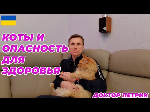 Видео: Коты и опасность для здоровья.
