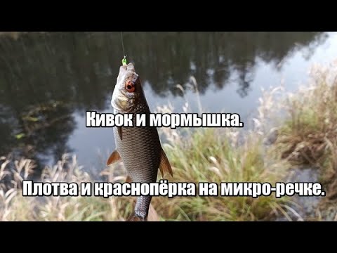 Видео: Ловля на кивок с мормышкой. Плотва и краснопёрка.