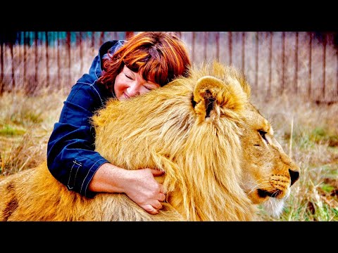 Видео: ИНТЕРВЬЮ по ПЯТНИЦАМ! Татьяна Алексагина о САМЫХ СТРАШНЫХ моментах среди львов за 10 лет!