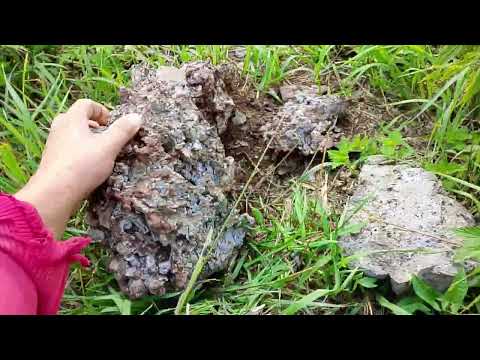 Видео: Съездил на Металла коп, результаты есть. 
