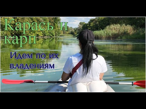 Видео: Карась и карп: Идем по их владениям