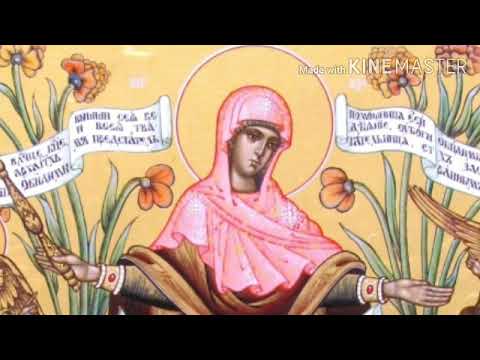 Видео: Акафист Пресвятой Богородице пред иконой "Всех скорбящих Радость" 06.11