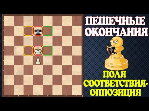 Видео: Шахматы. Учебник эндшпиля №2. Пешечные окончания. Поля соответствия - Оппозиция