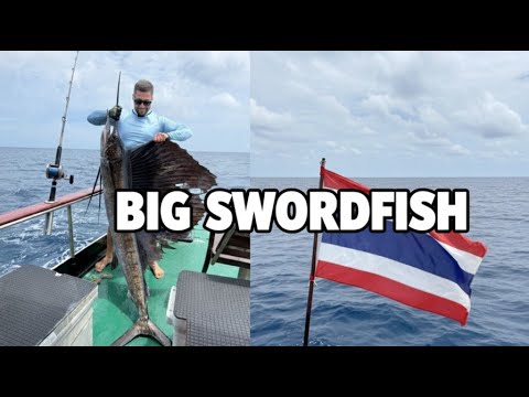 Видео: МОЙ РЕКОРДНЫЙ ТРОФЕЙ 🇹🇭🔥