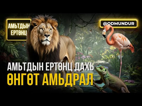 Видео: Амьтдын ертөнц дахь өнгөт амьдрал - АМЬТДЫН ЕРТӨНЦ