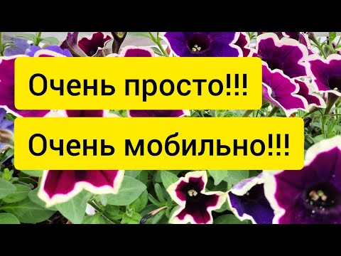 Видео: Стеллажи для теплицы,ну очень мобильные!!!😍👍