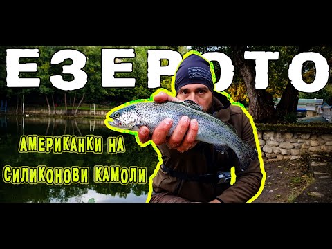 Видео: ЕЗЕРОТО В ДУПНИЦА и АМЕРИКАНСКИТЕ ПЪСТЪРВИ. Риболов със силиконови камоли.