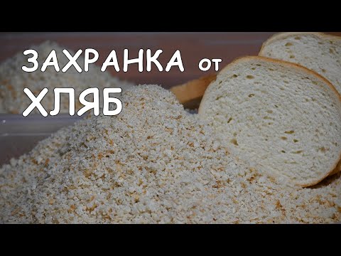 Видео: ЗАХРАНКА от ХЛЯБ за РИБОЛОВ - КАК да си НАПРАВИМ ТРОХИ от ХЛЯБ ?