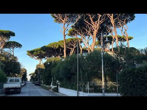 Видео: Испанский хамон 🇪🇸