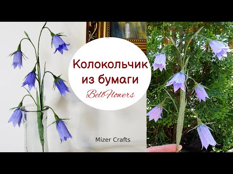 Видео: Цветок Колокольчик из гофрированной бумаги /Bellflowers/Campanula/DIY/Дзвiночок луговий/Мастер класс
