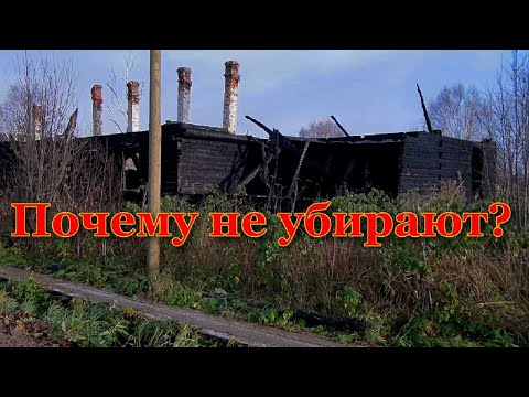Видео: ПОЧЕМУ ЭТО НЕ УБИРАЮТ Шалакуша ул Матросова