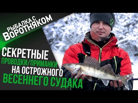 Видео: Секретные проводки на пассивного судака