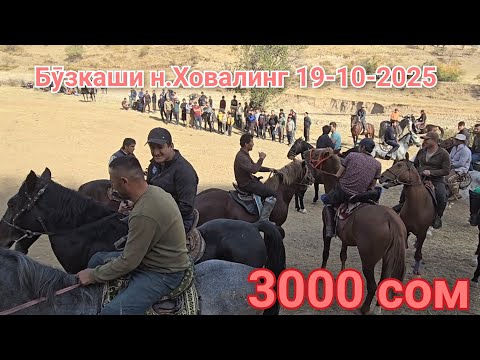 Видео: Бузкаши Ховалинг 19-10-2025