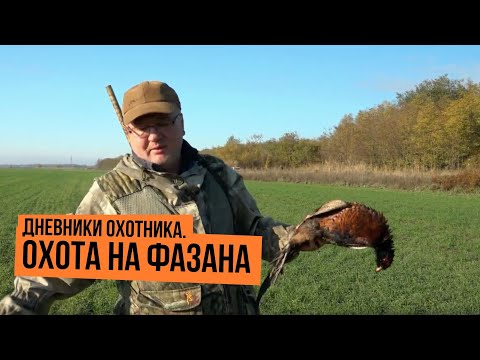 Видео: Охота на фазана \ Дневники охотника \ Сезон 2