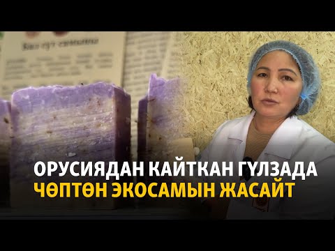 Видео: Жалал-Абад: Орусиядан кайткан Гүлзада чөптөн экосамын жасайт