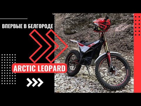 Видео: Arctic Leopard впервые в Белгороде!!!