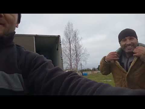 Видео: Как правильно купить малька форели!