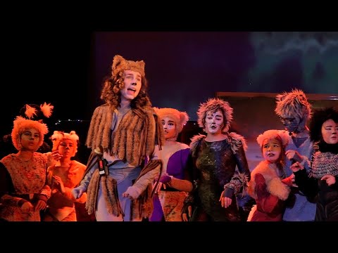 Видео: Мюзикл "Кошки" (CATS) Театрально-эстрадная студия "Лицедеи" г.Вышгород