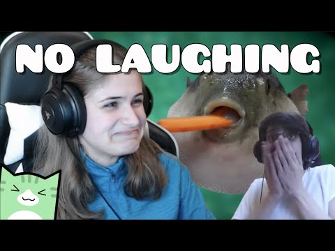 Видео: Я НЕ МОГУ СМЕЯТЬСЯ. (Смеёшься — проигрываешь)