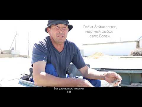 Видео: Тiршiлiк  (Аральское море сегодня)